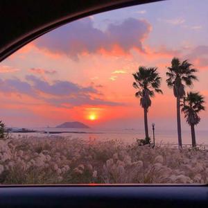 成人激情黄色小说
