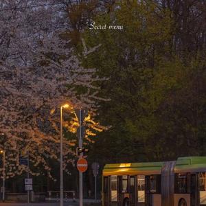 成人激情黄色小说
